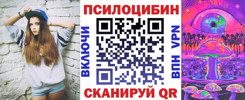 Псилоцибиновые грибы Psilocybine cubensis  kraken как войти  Петровск 